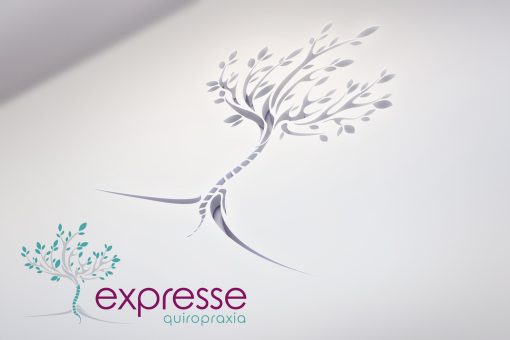 Logotipo – Expresse Quiropraxia